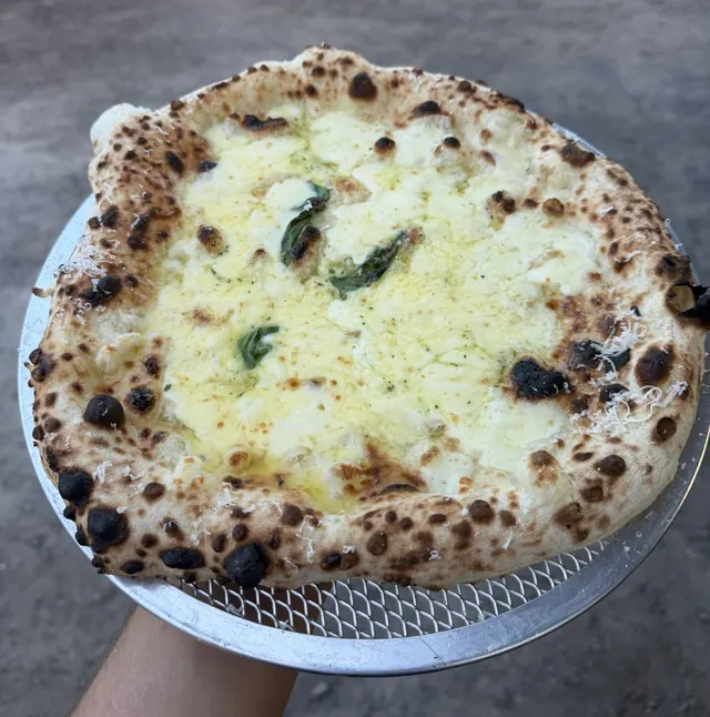 A white pizza with basil and Parmesan